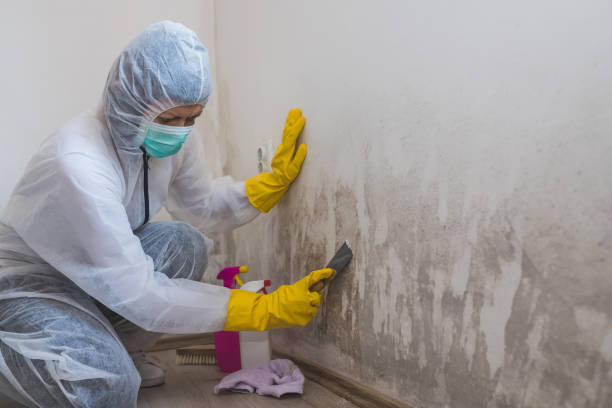 Water Damage Restoration in Provo, UT